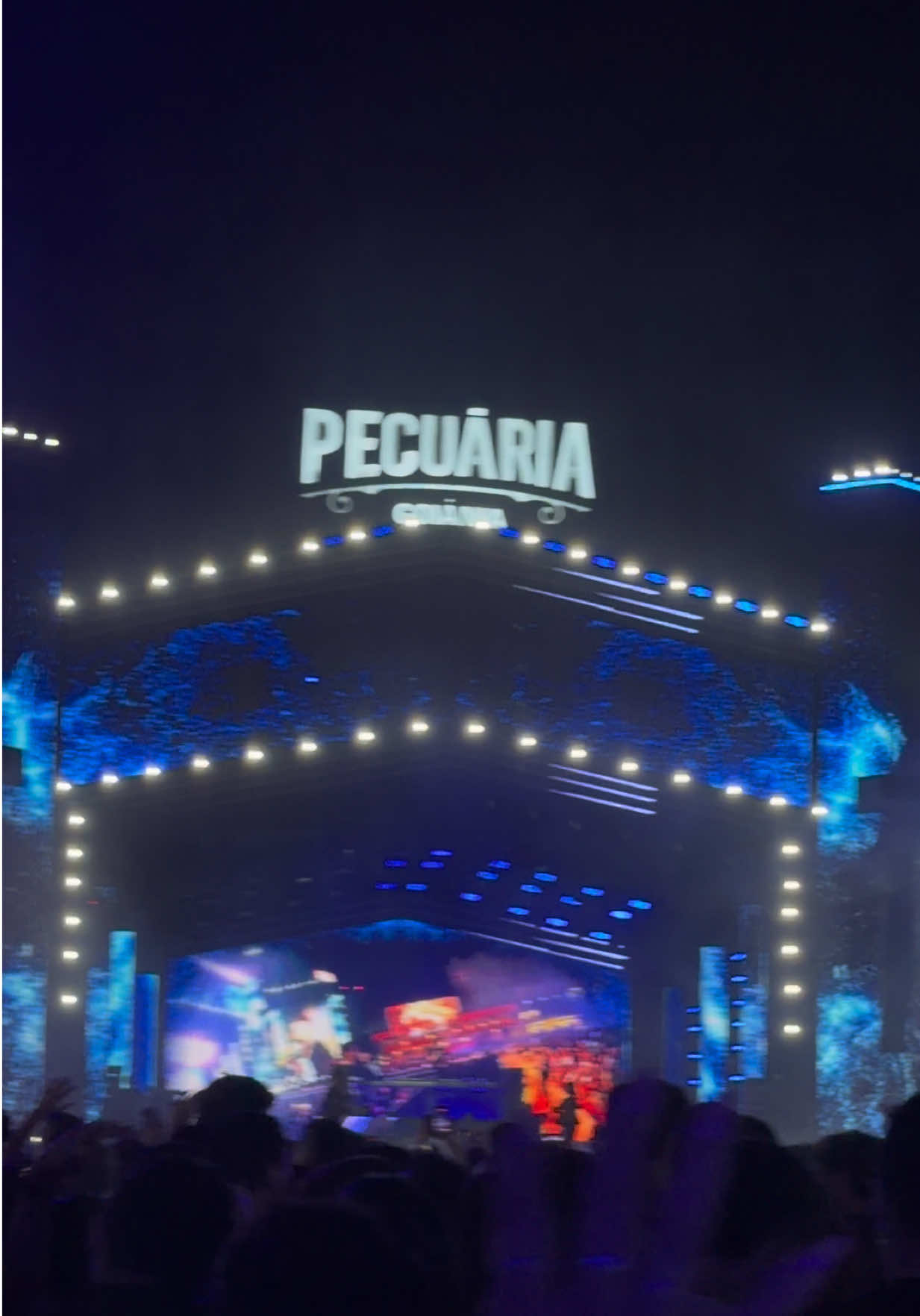@Yuji Pesca|Pescador Esportivo