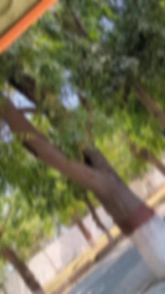 @🔥MR-AKASH🔥