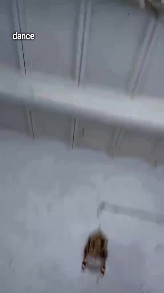 @ثناء🌸