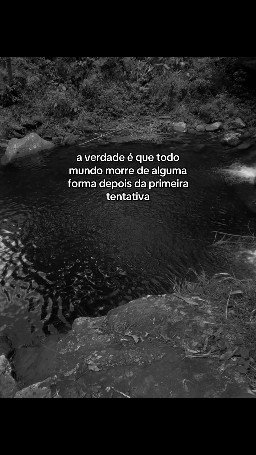 @SAY!