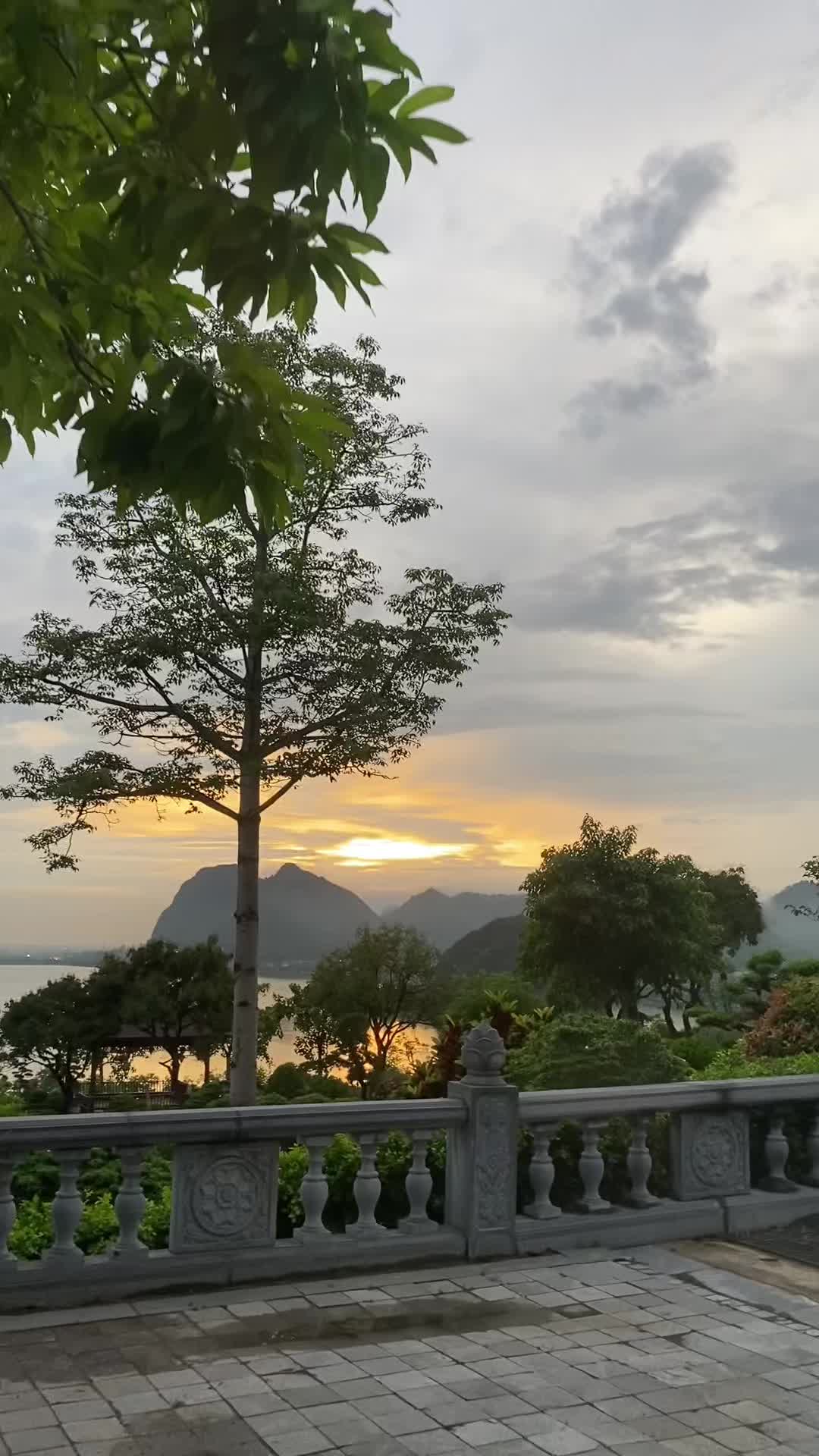 @Rượu vang