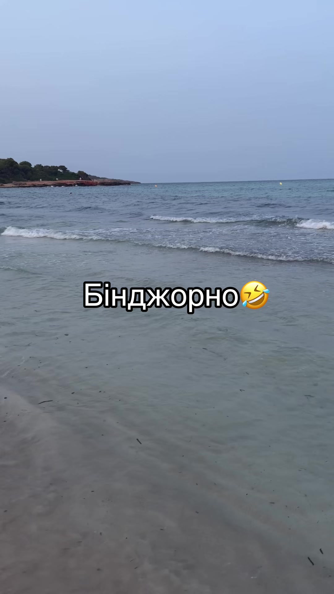 @Vanilla