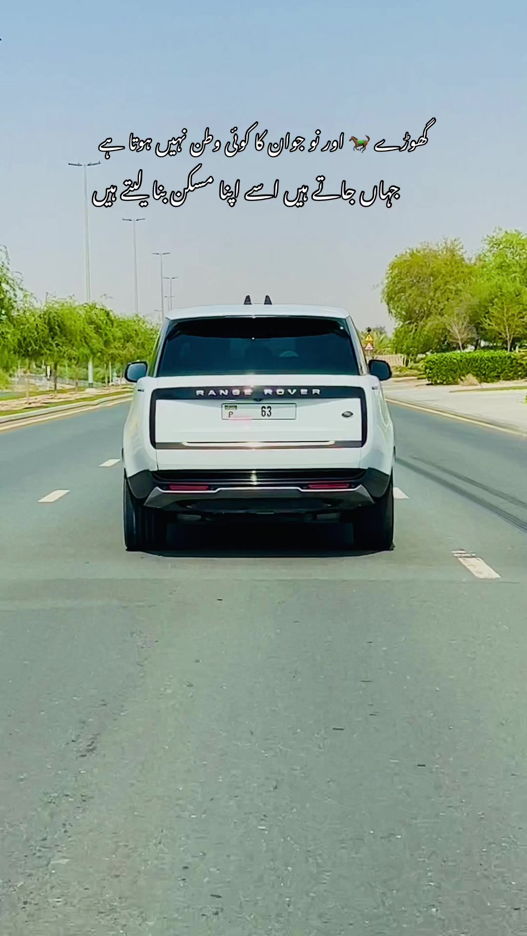 @Ali brand 786 🇵🇰