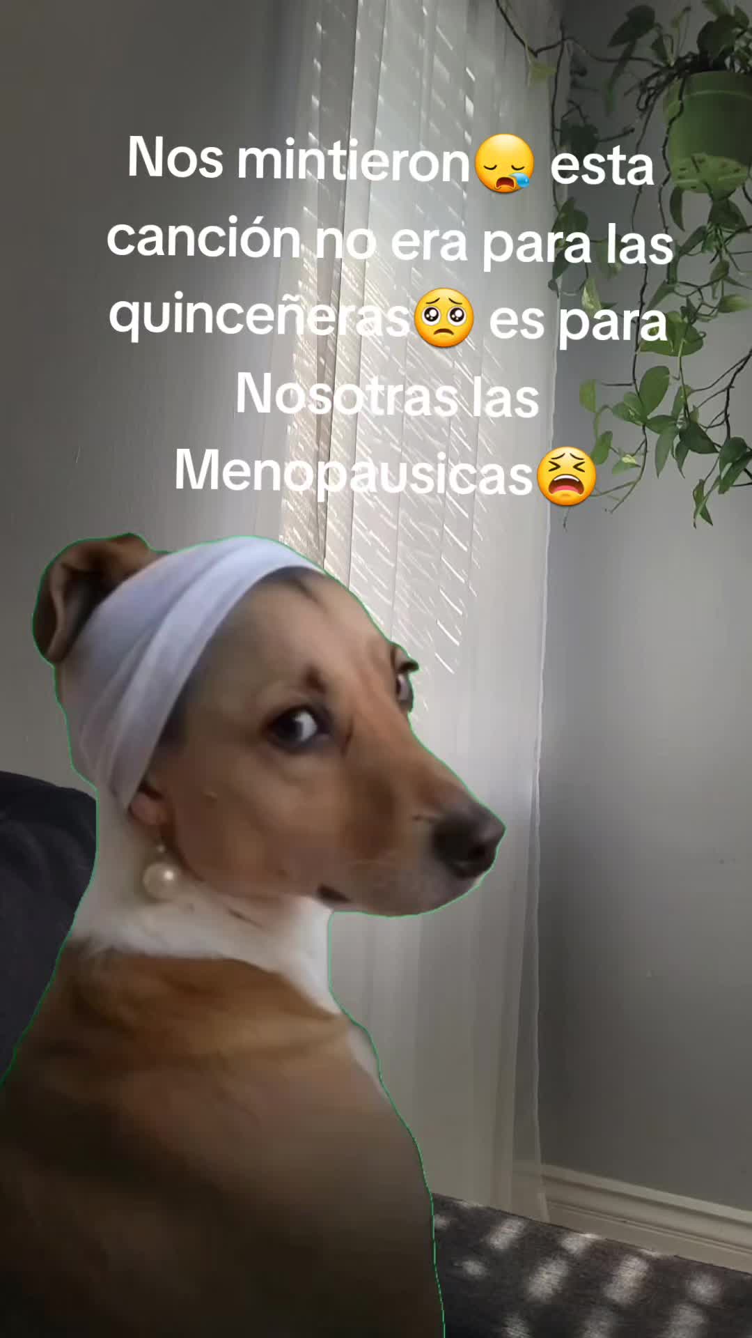 @Michoacana🇲🇽