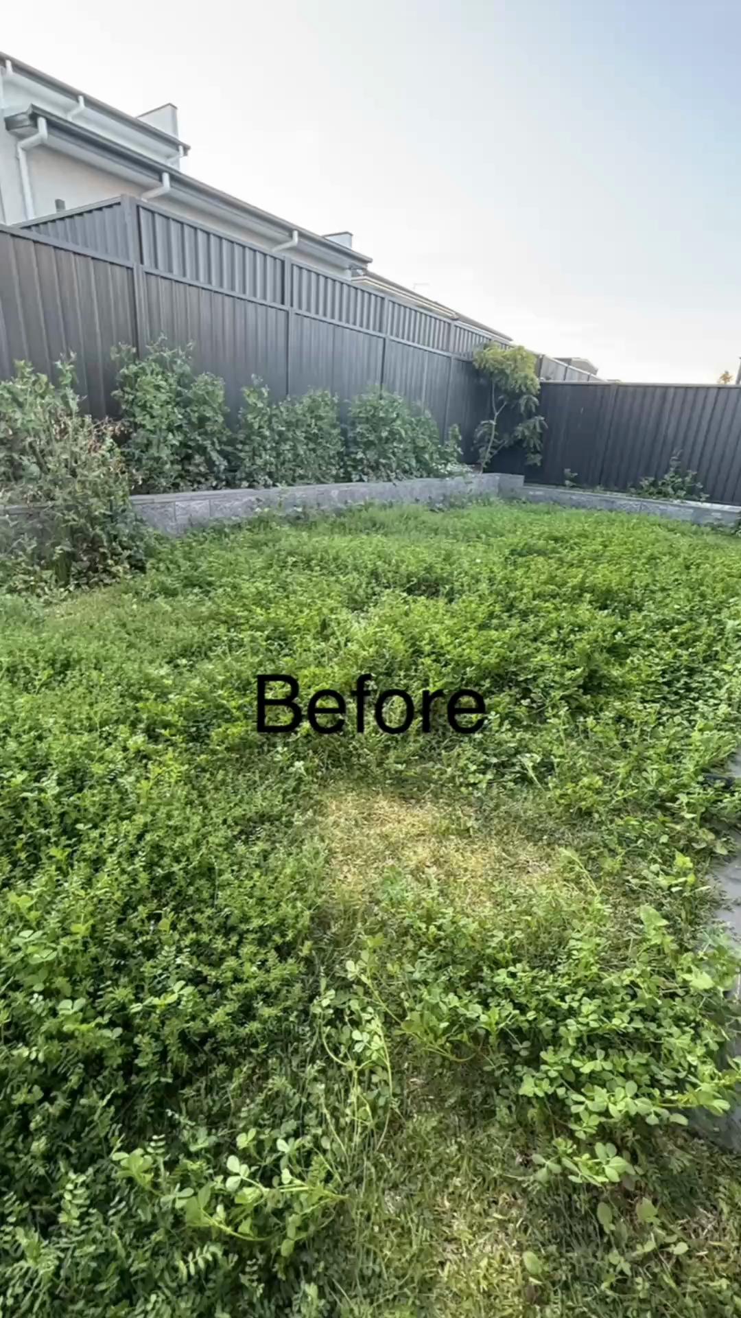 @anlawncare13