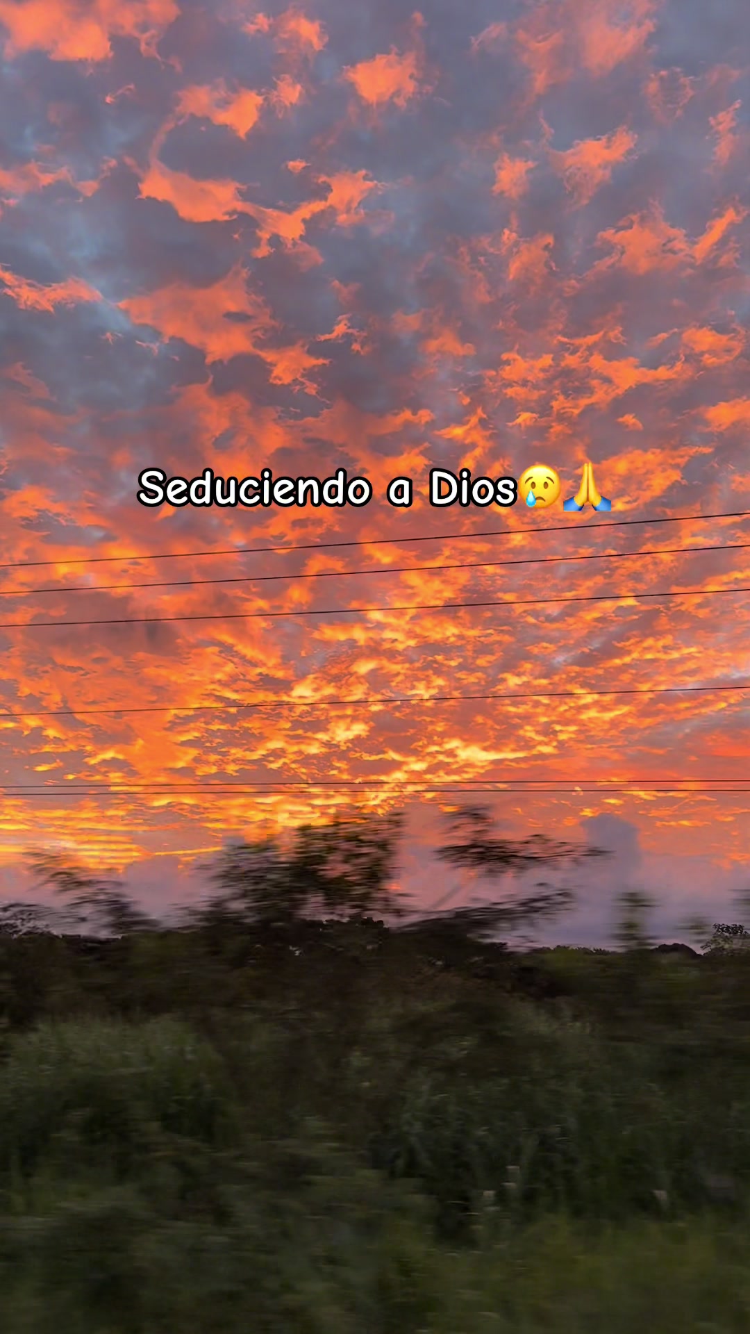 @El Yamaram🦜🇪🇨