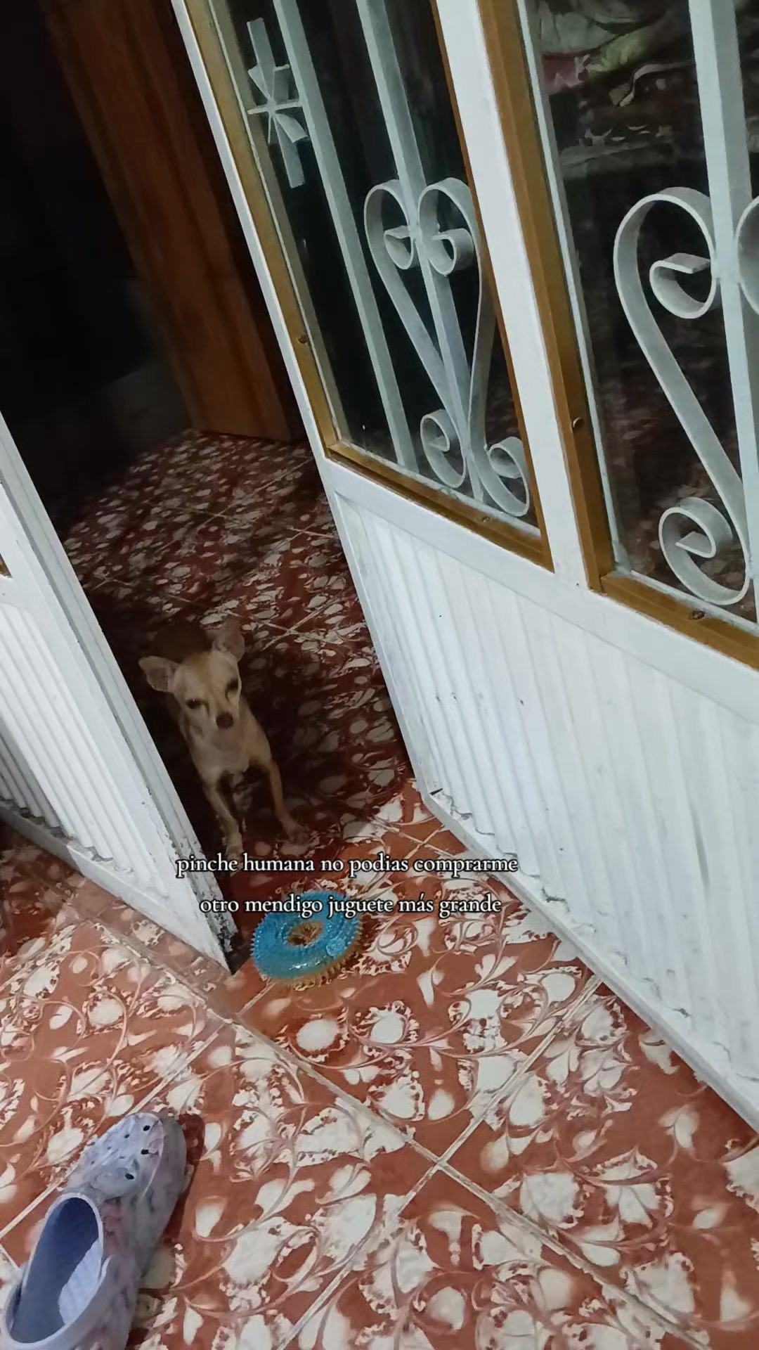 @MR