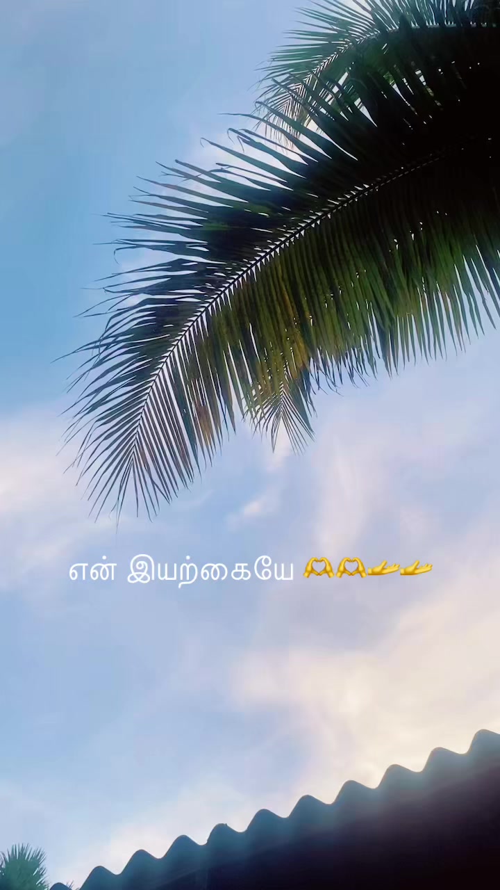 @இயற்கையின் காதலி Charu😍