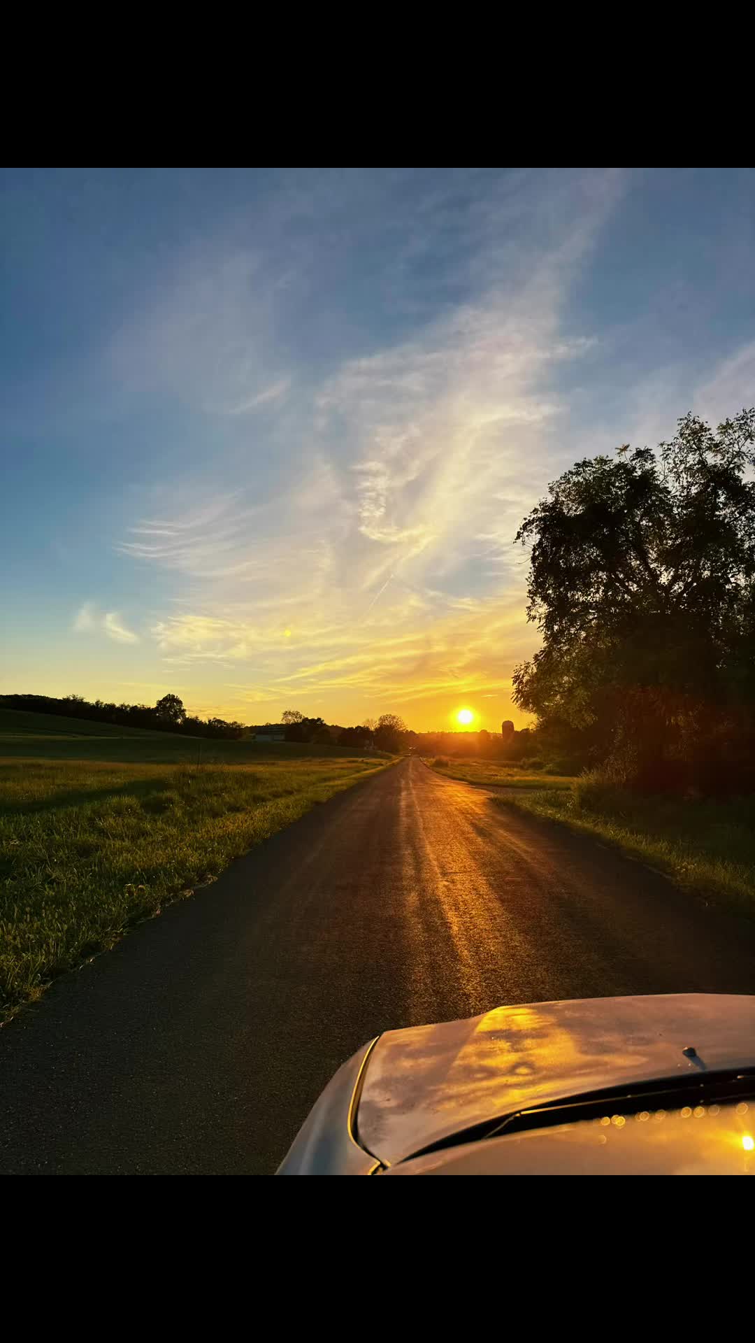 @Danigurl🦮🏇🌅