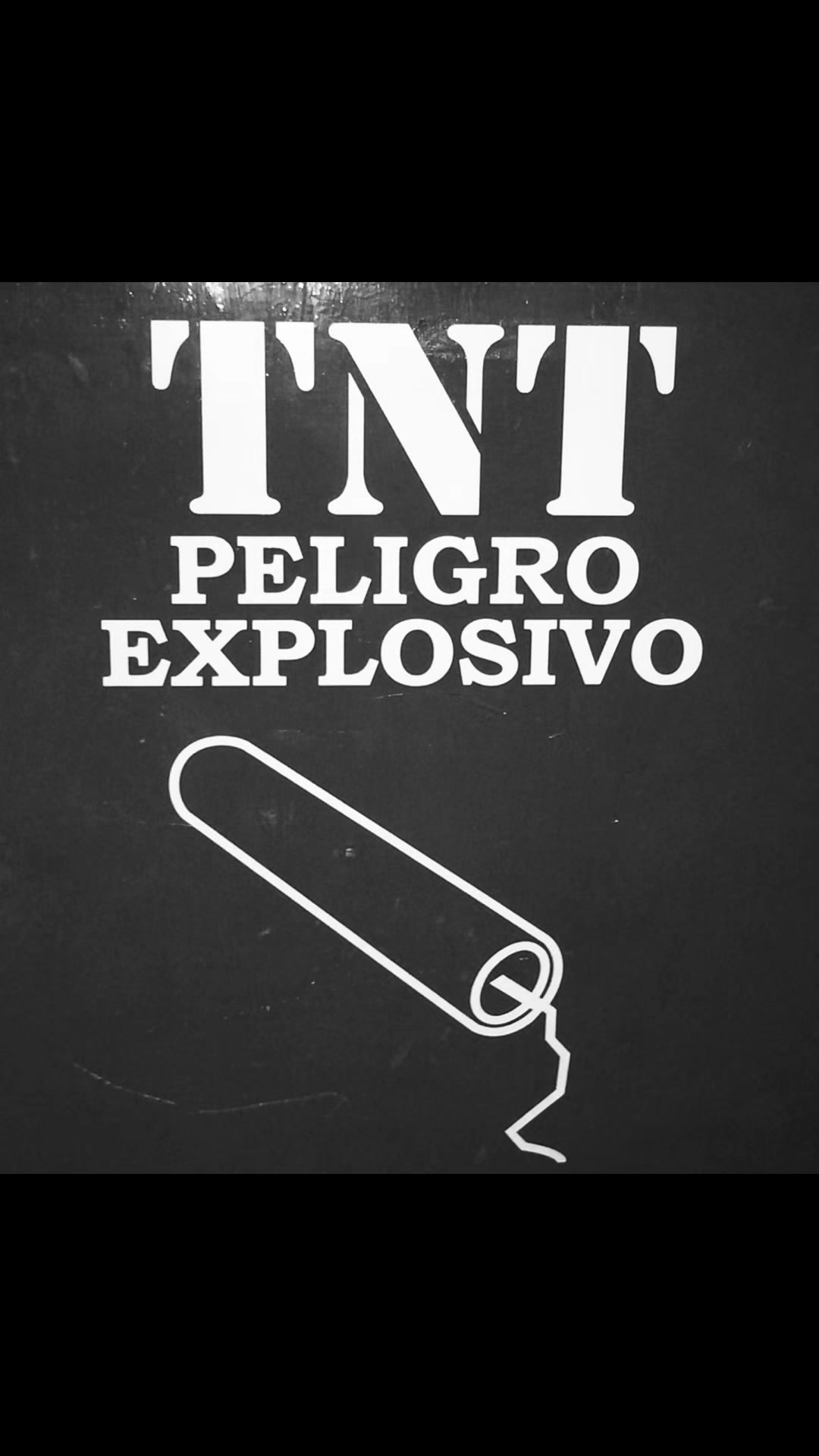 @TNT Vinyl | Music | Life