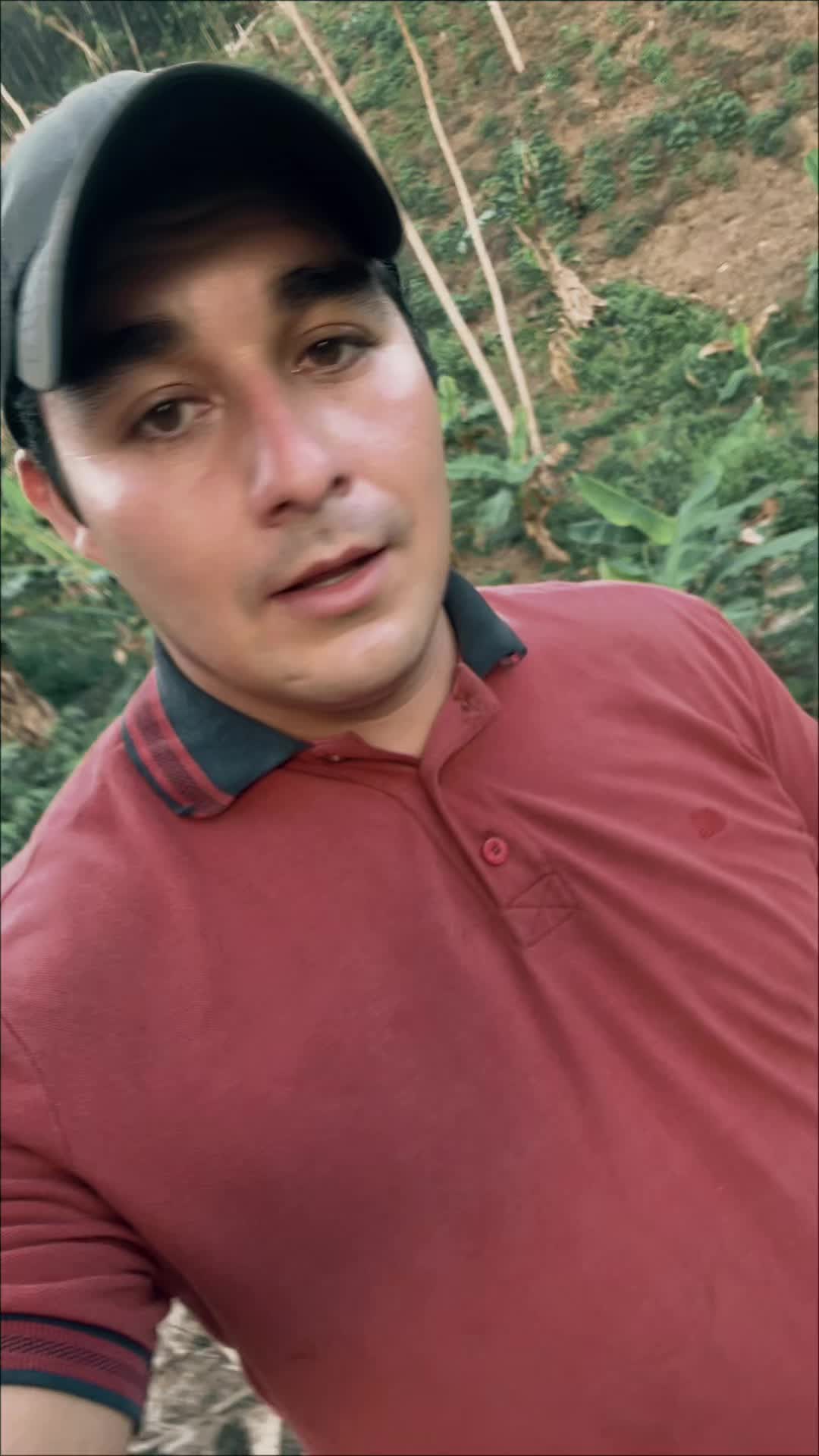 @Alfredo Parra oficial1