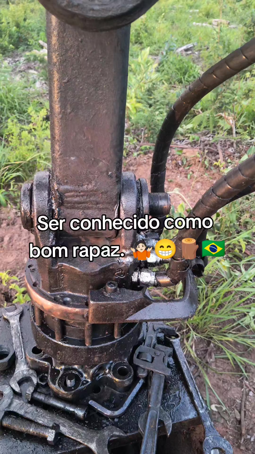 @Thales Almeida 🦾🌲