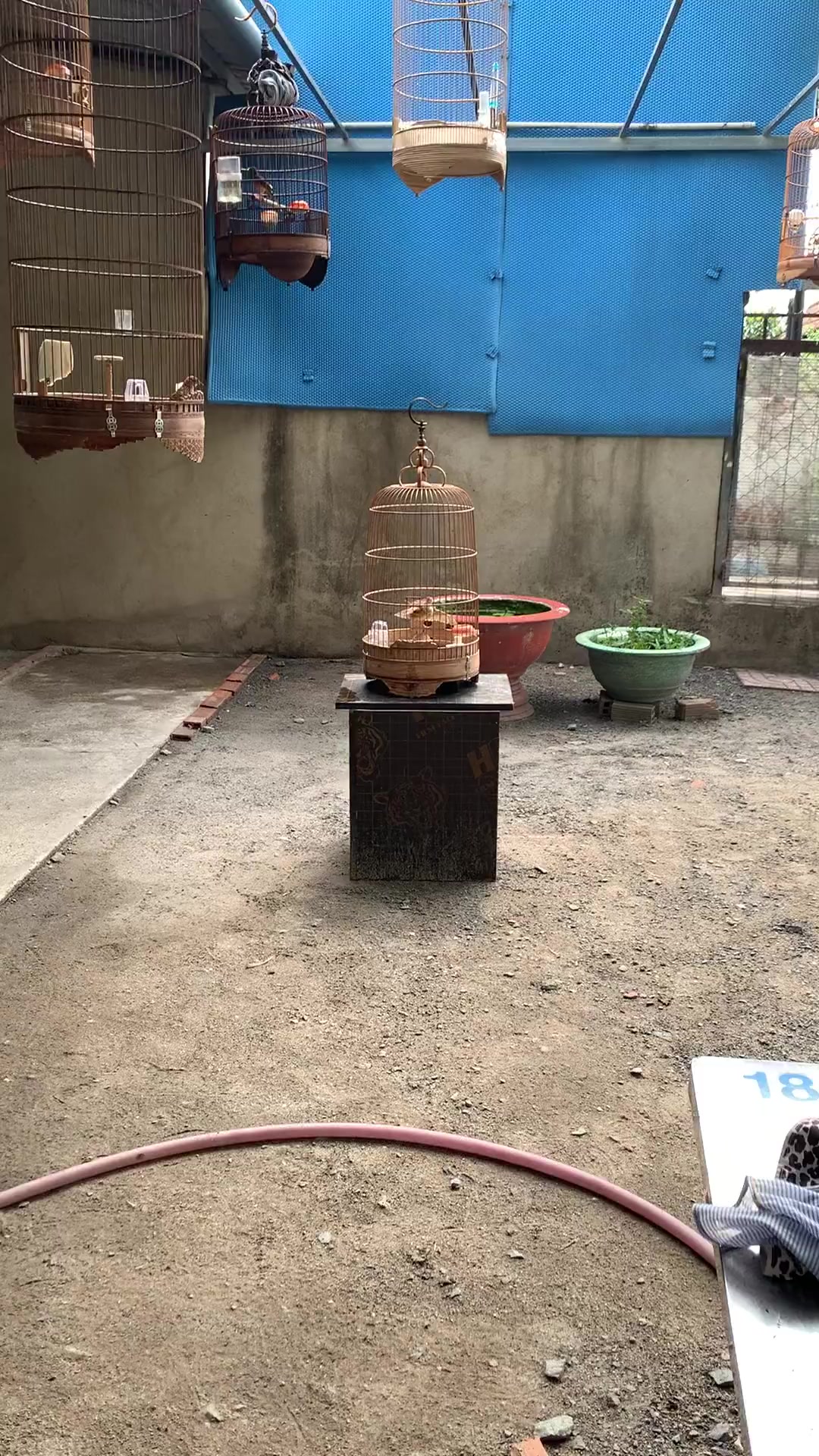 @Kiệt Nguyễn