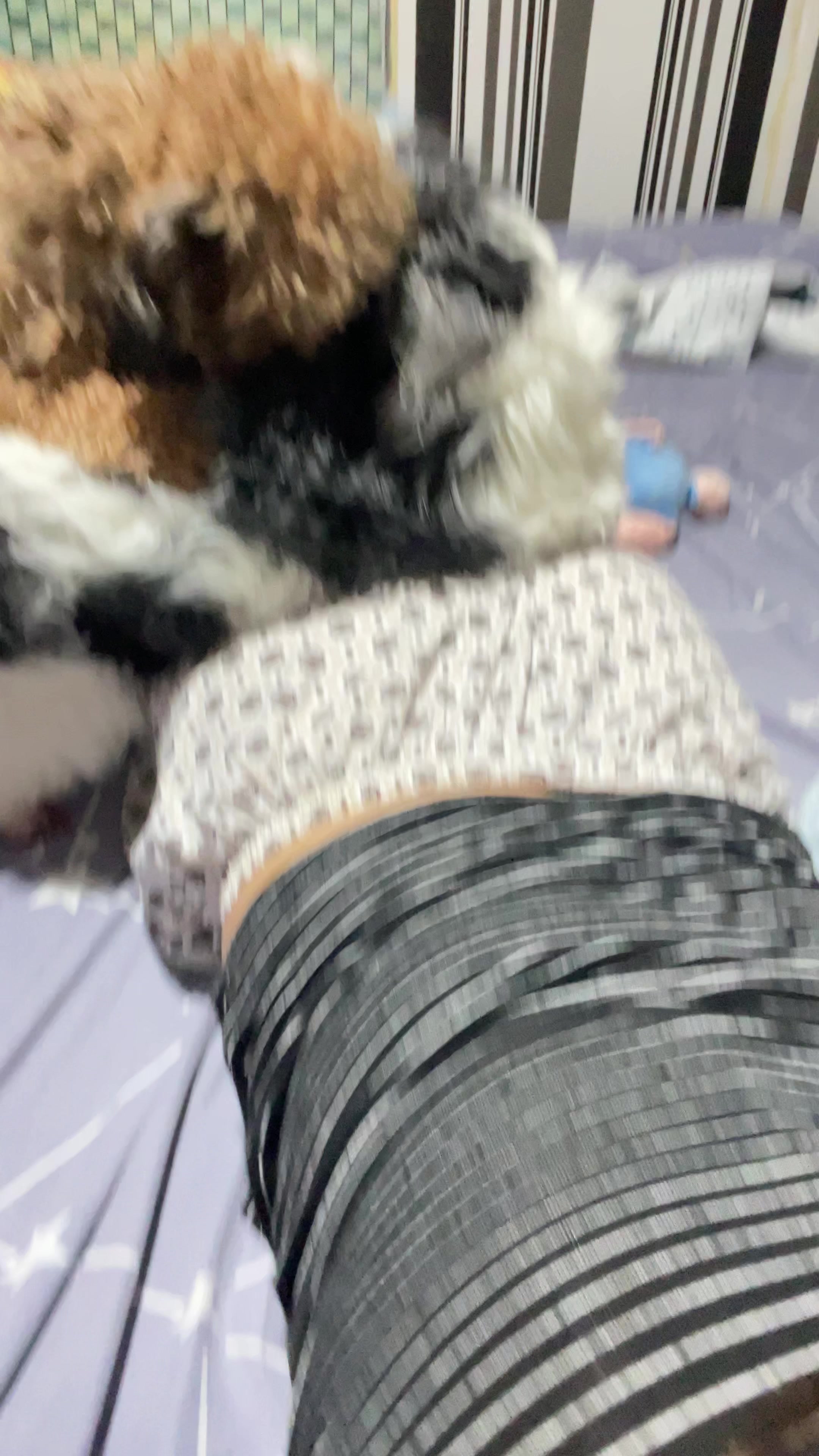 @Zoey&Zoomy&Zoya🥰🐶🐱🐶🐾🦴