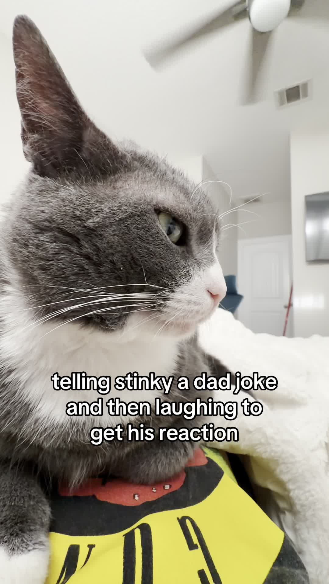 @stinkwalker