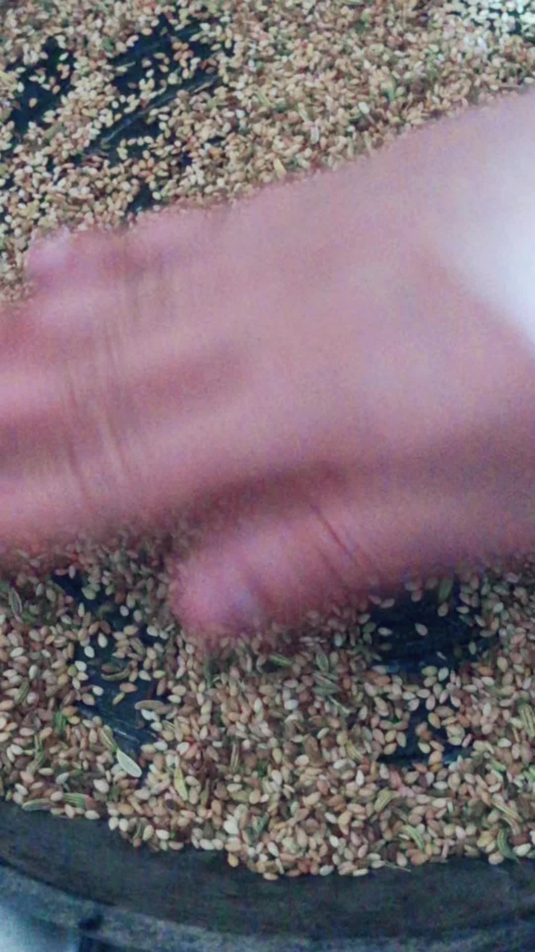 @الغنجة👑🌴