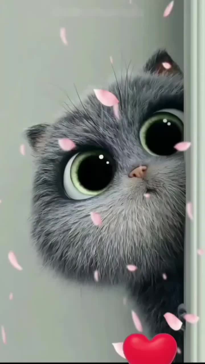 @Any ❤