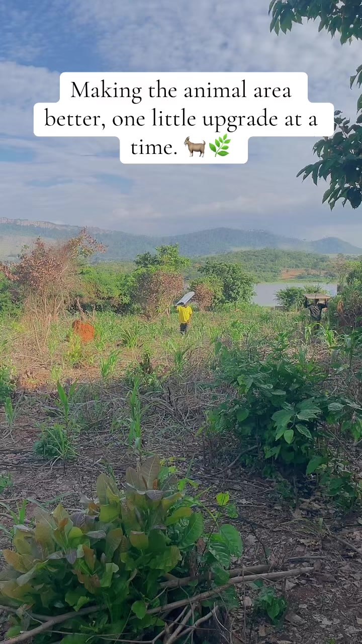 @Off Grid dR O J