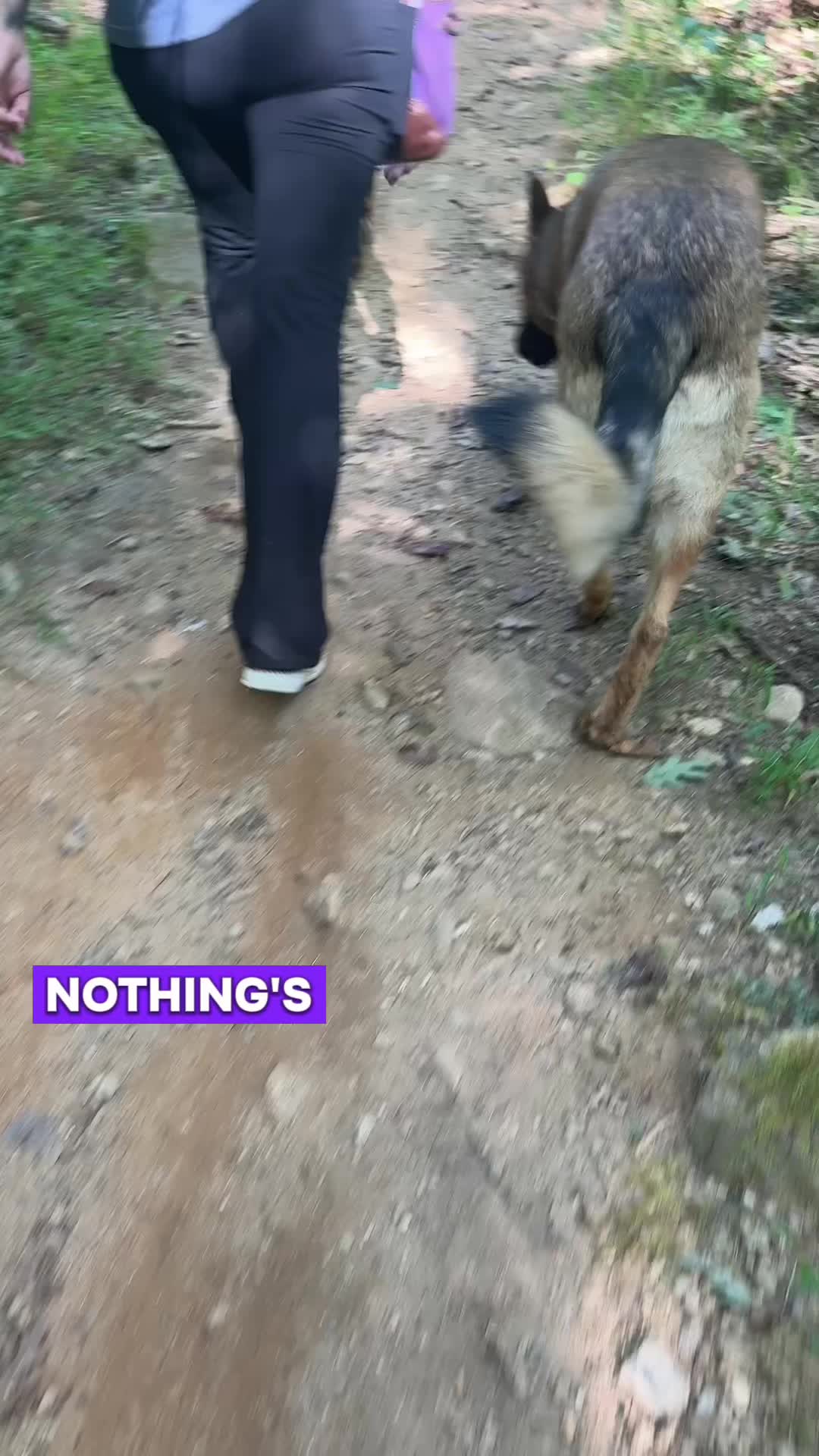@Megan 🐶 Trainer ❌