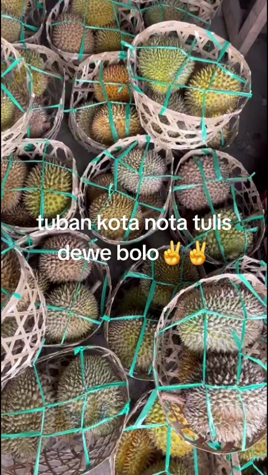 @Kenzhi Durian Tuban