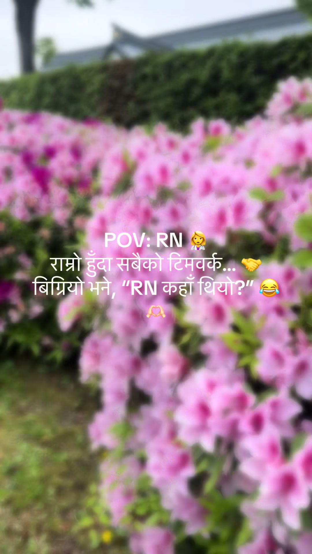 @Bindu Kharel