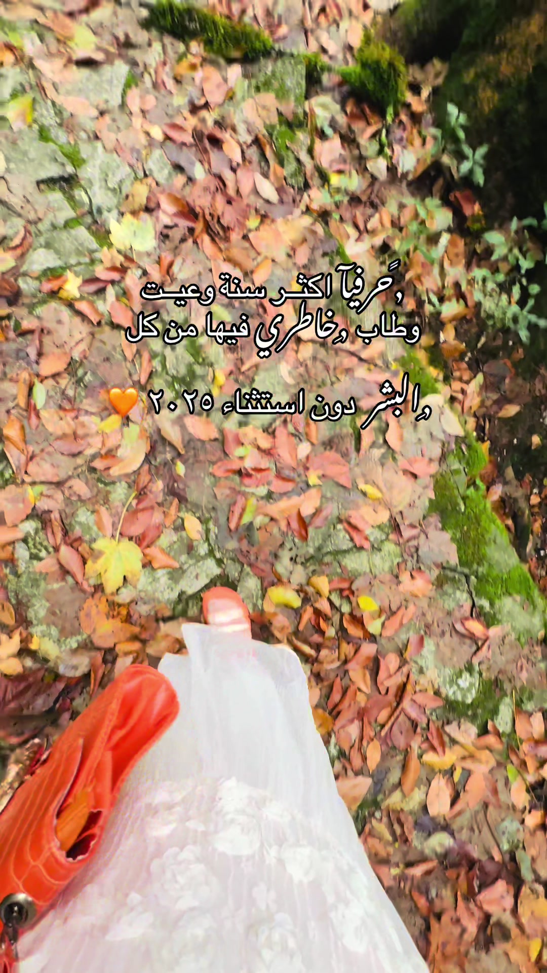 @نبأ
