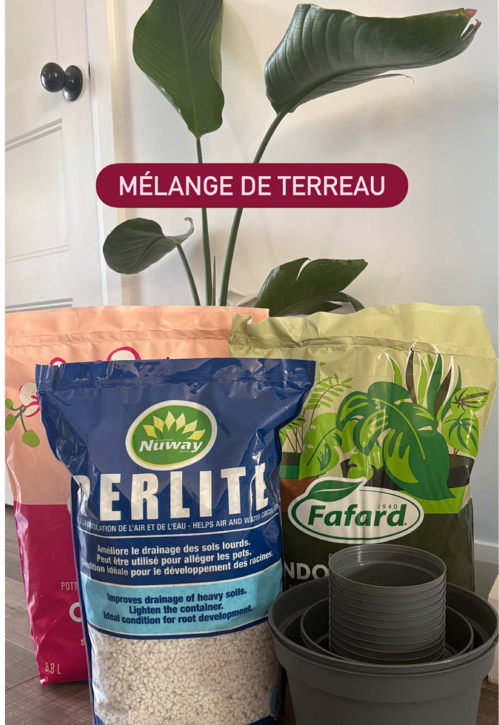 @Mégane Vaillancourt