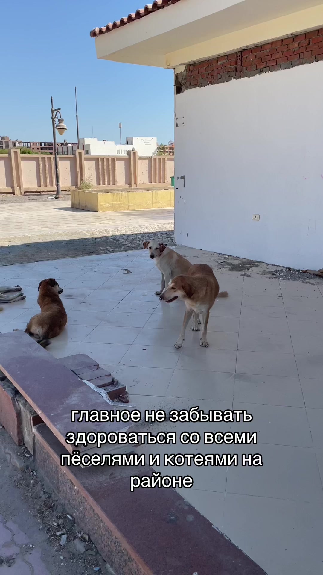 @Sasha Darko