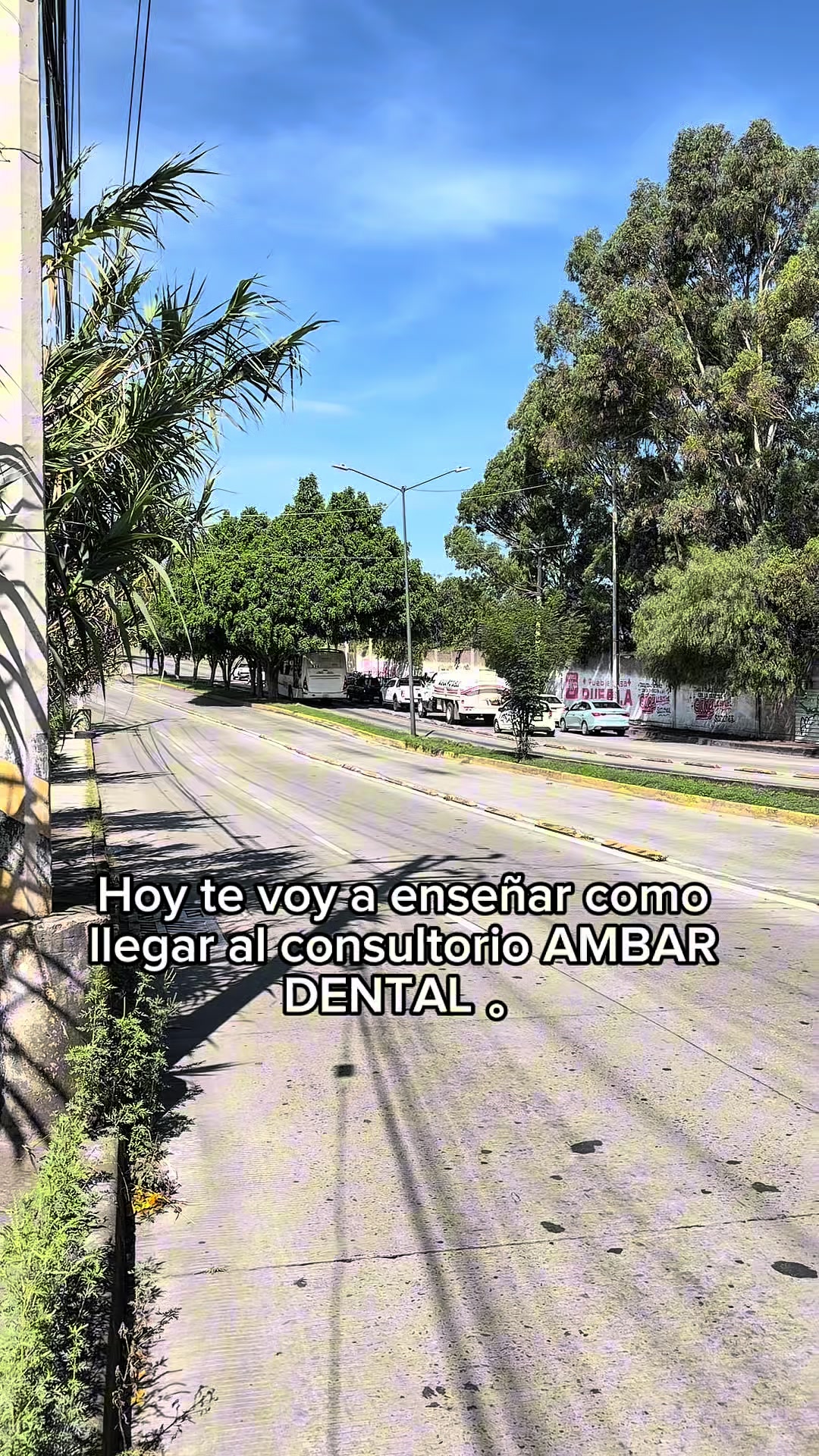 @Ambar Dental