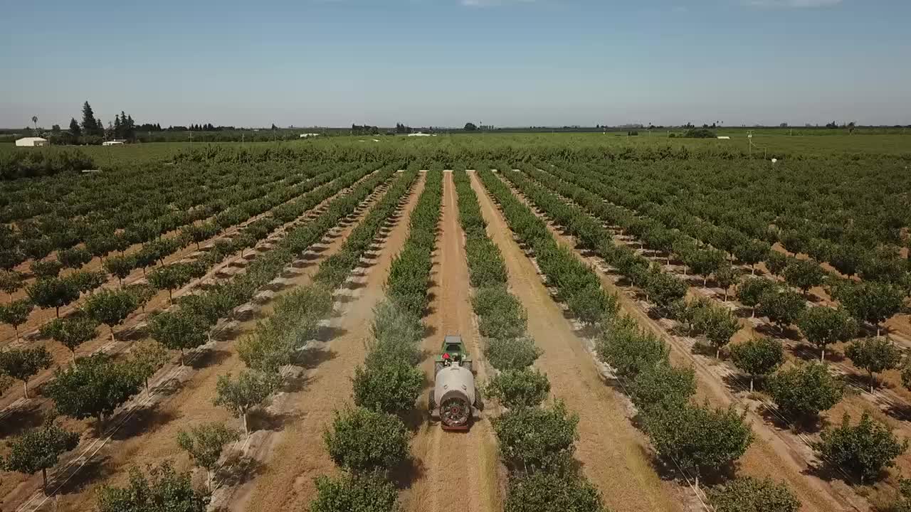 @AcemiNursery