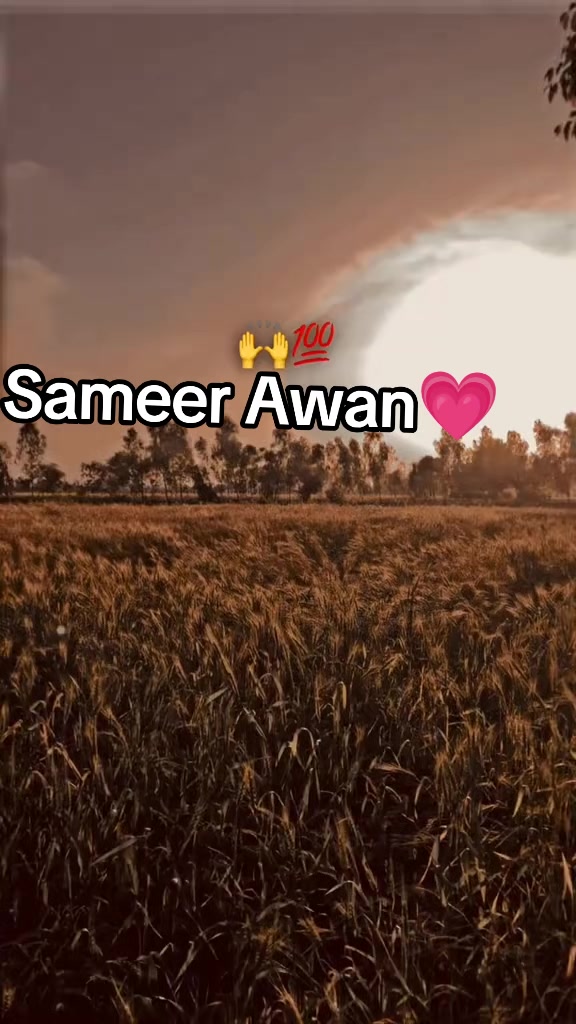 @Sameer Awan