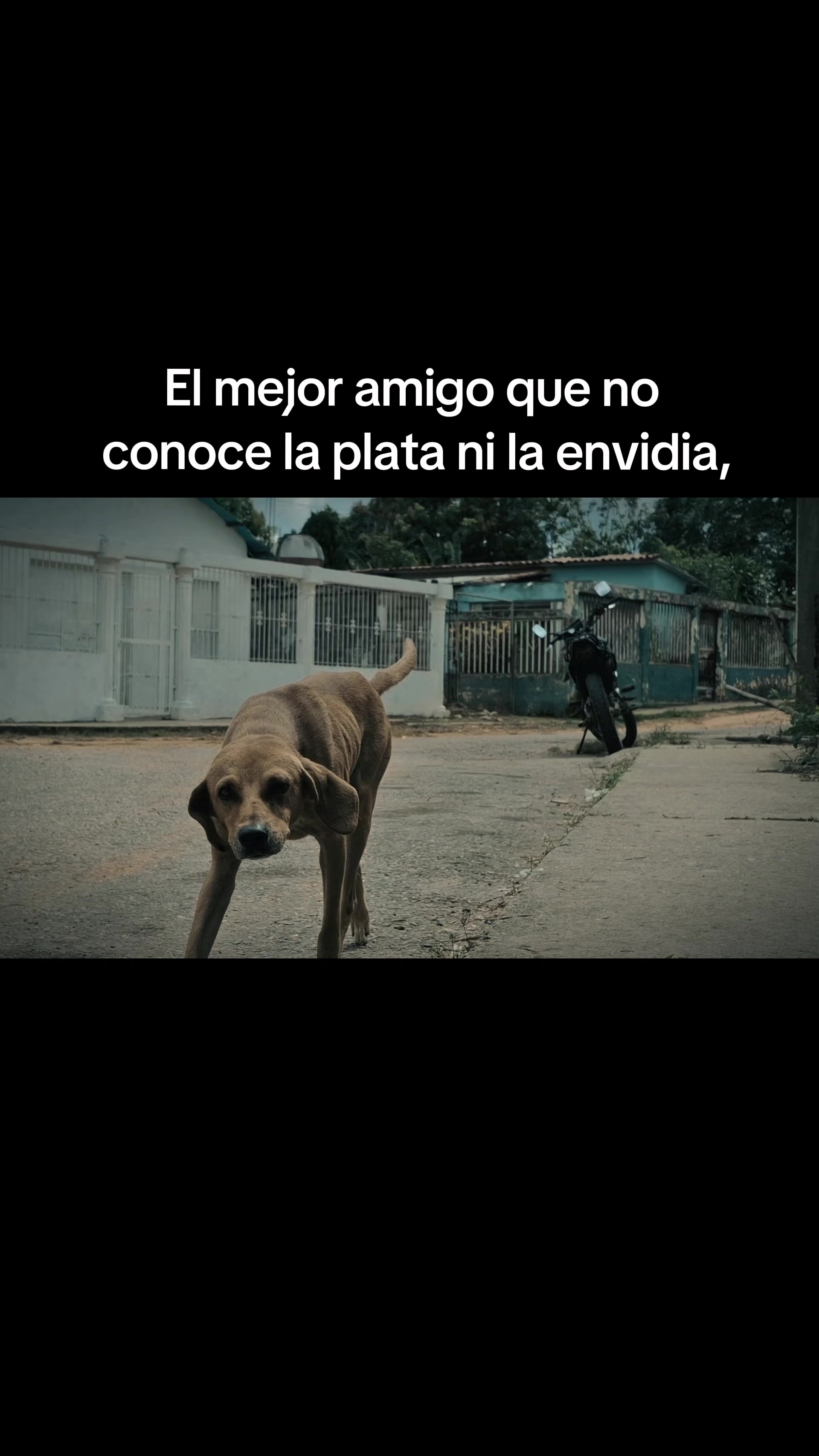 @El-Comis El Rey de la Realidad
