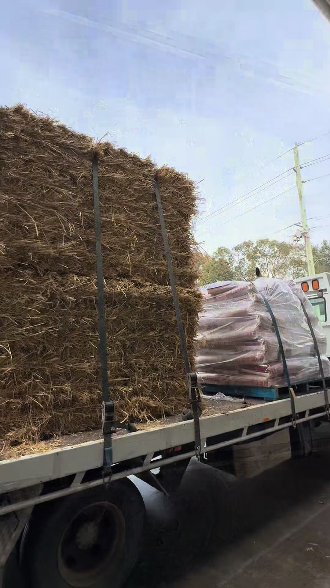 @bringellypetandstockfeed