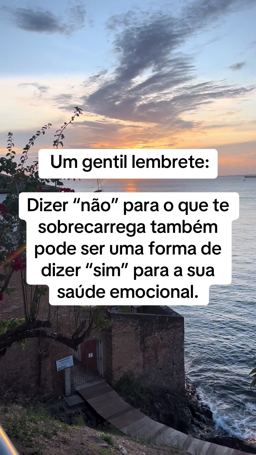 @Vanessa E. Santos | Terapeuta