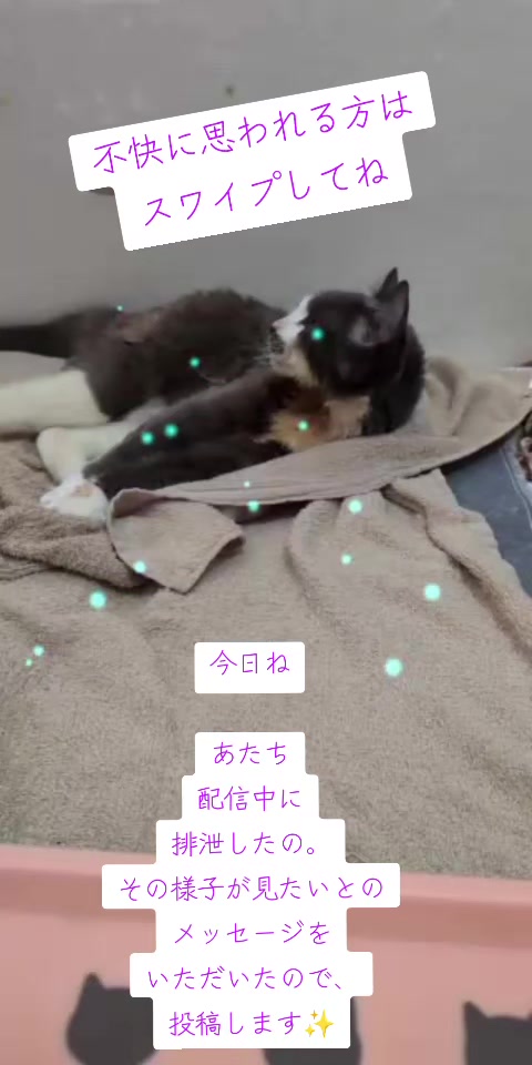 @てんきな