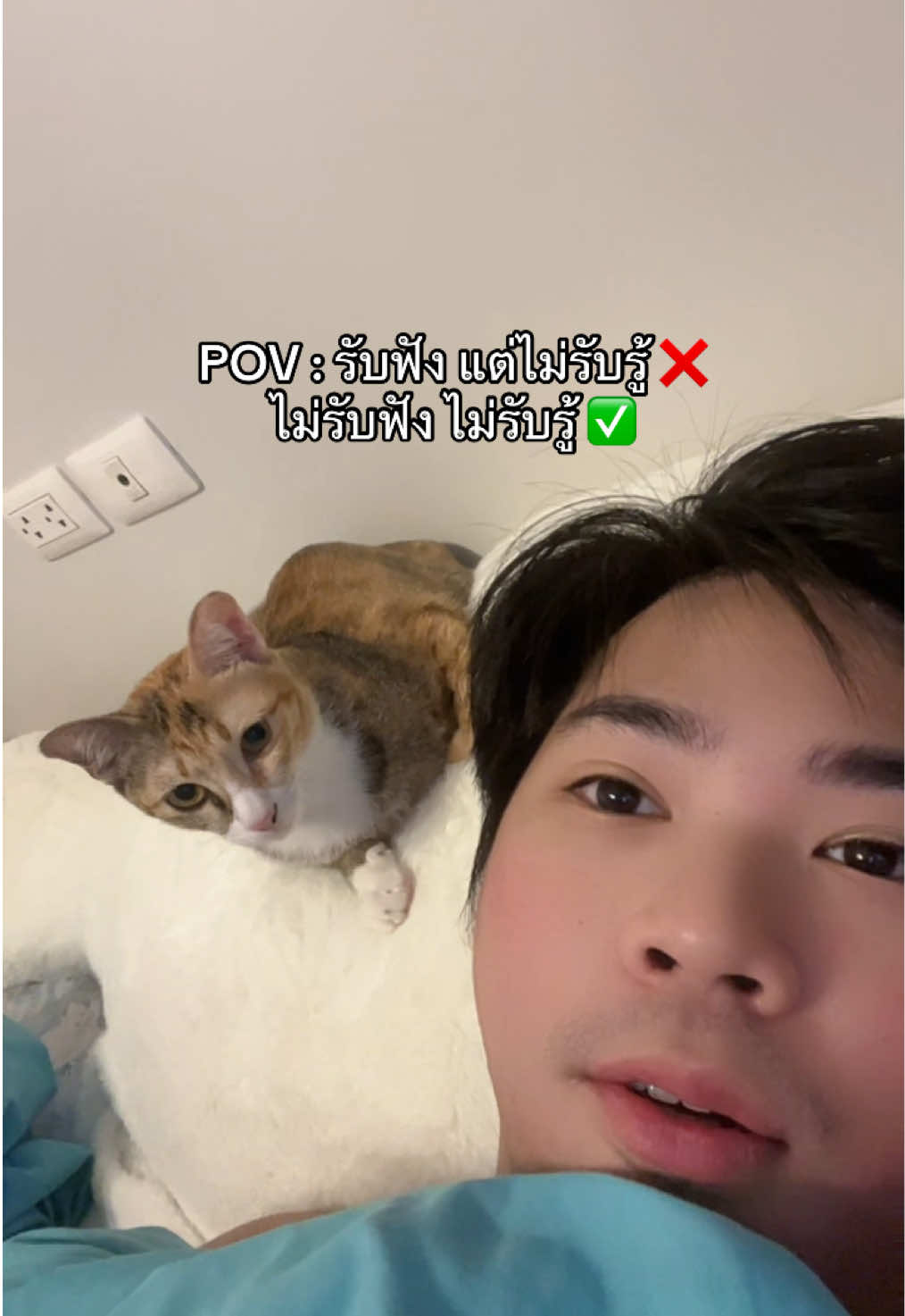 @ToMeng