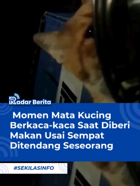 @Wahyu Santosa Official