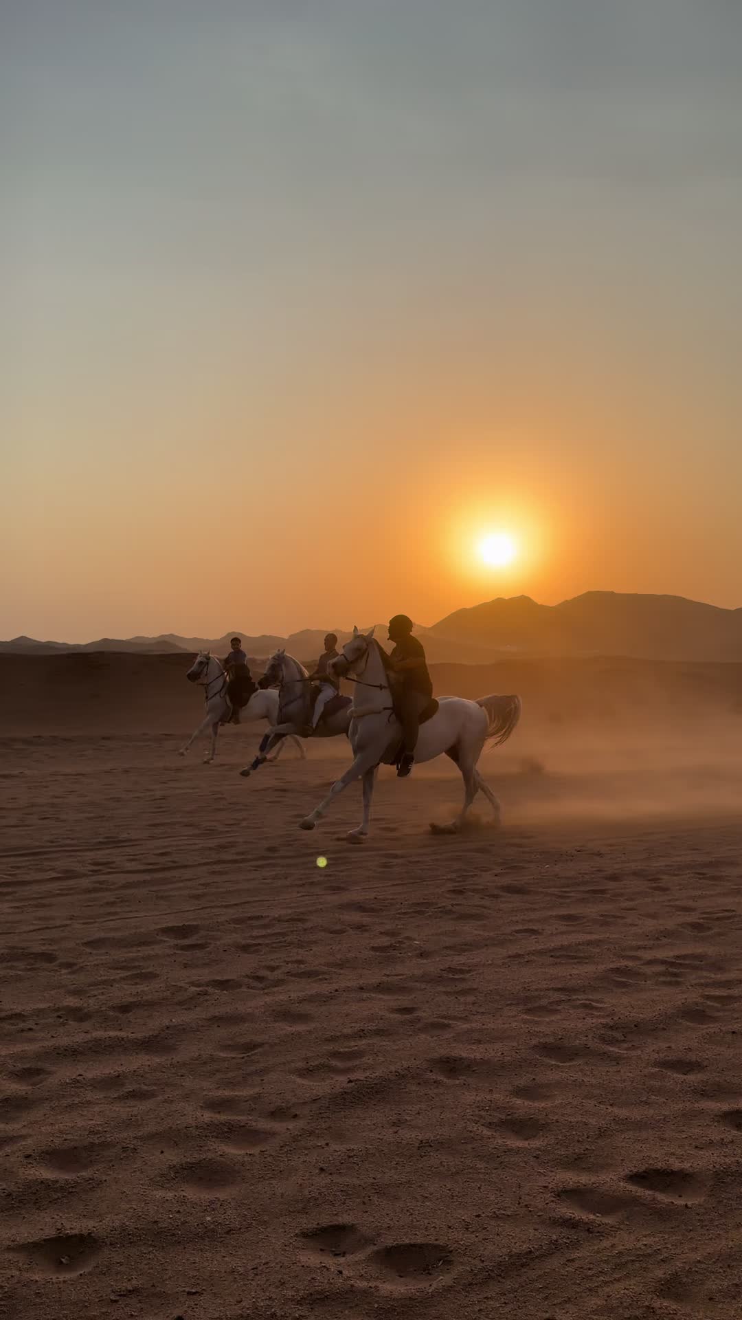 @سعيد ✨