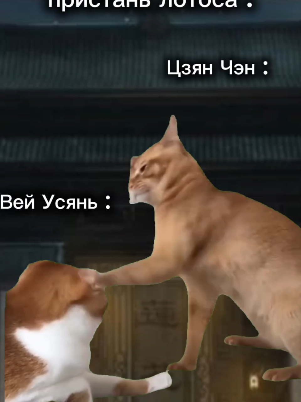 @Цинсюань