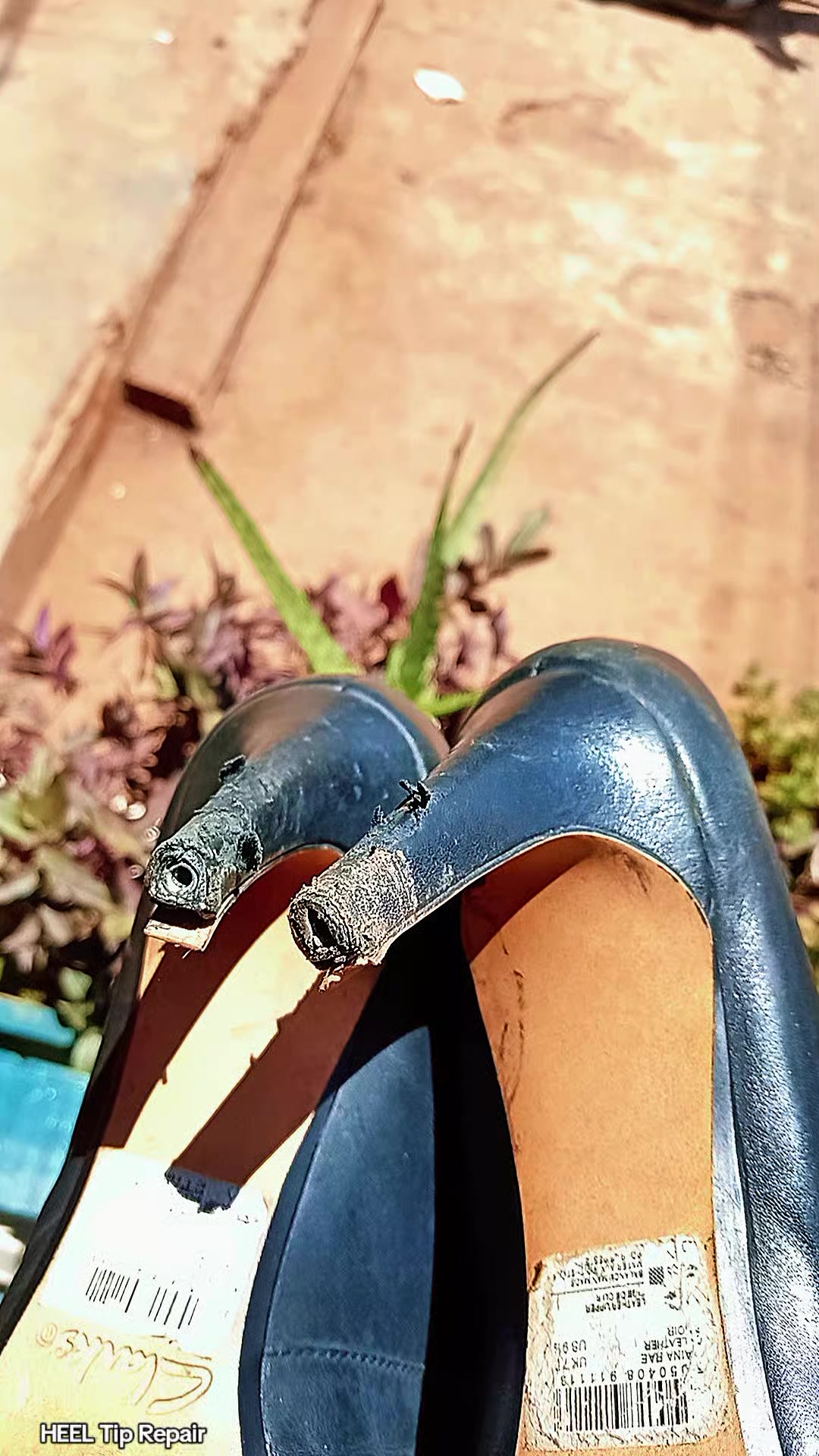 @Toniz shoecareclinic