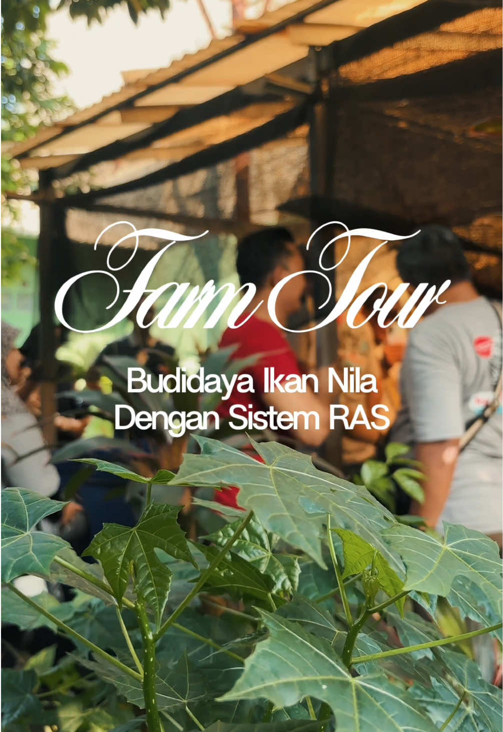 @NilaKu ID