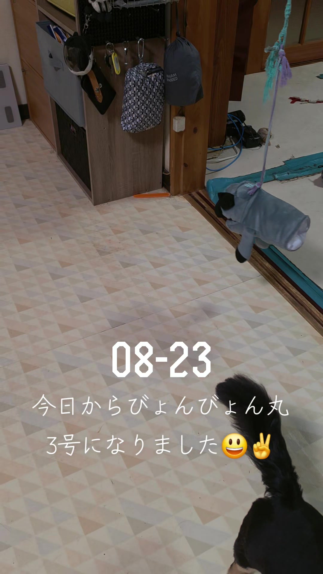 @hiro110