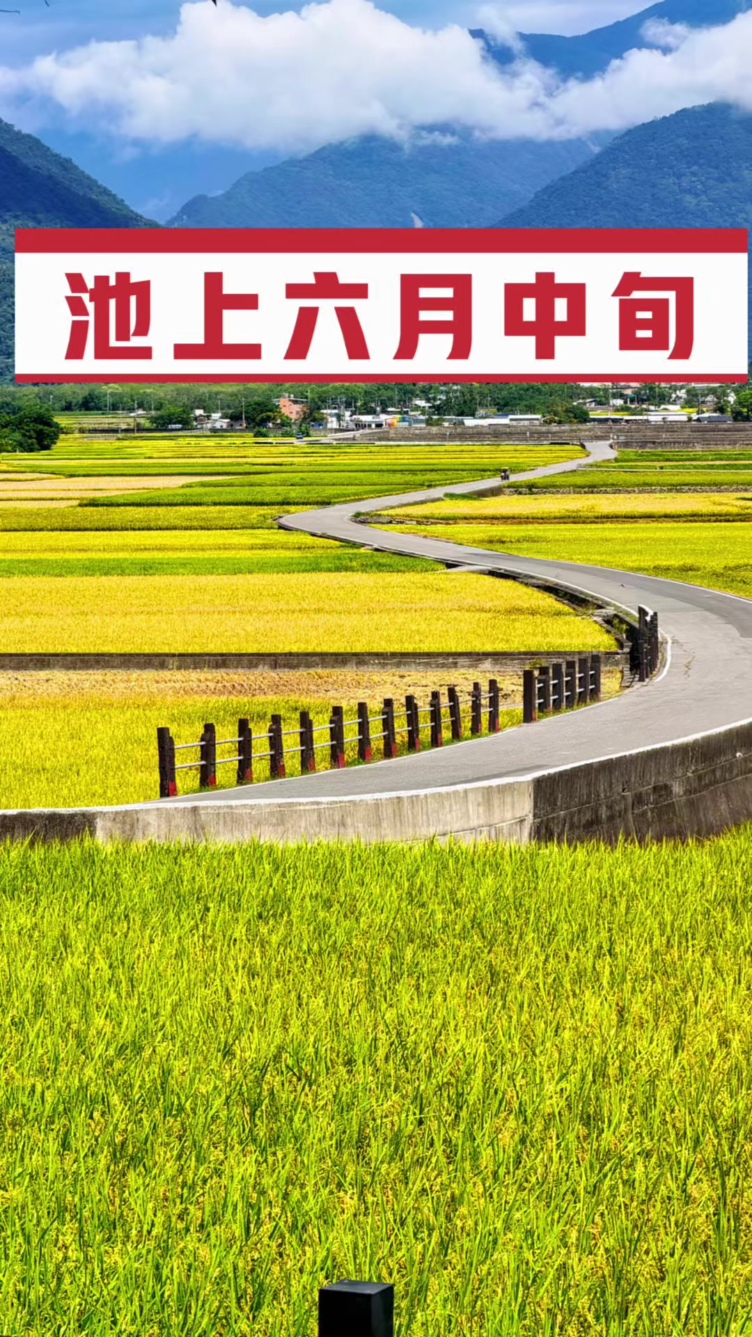 @美娴(華鼎自行車出租店)