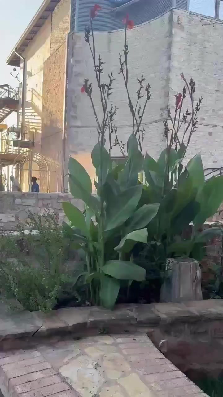 @ek ajanabi