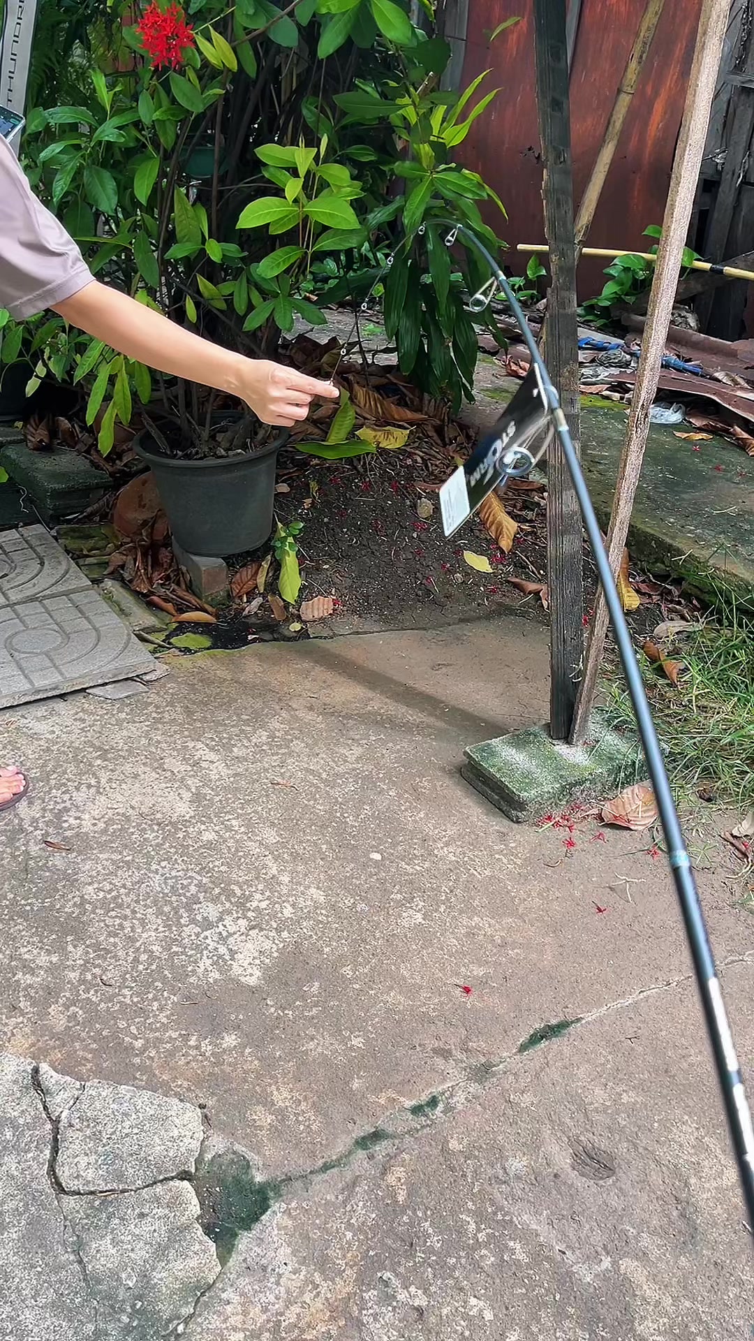 @Parknumfishing