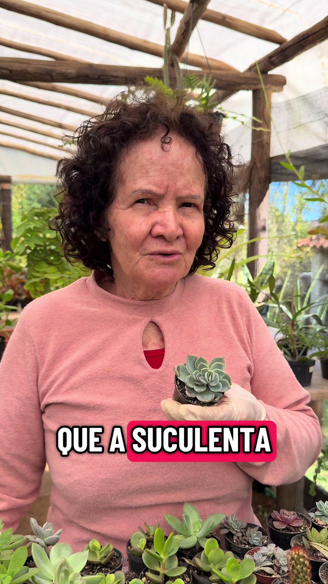 @cheirodasaguasbj