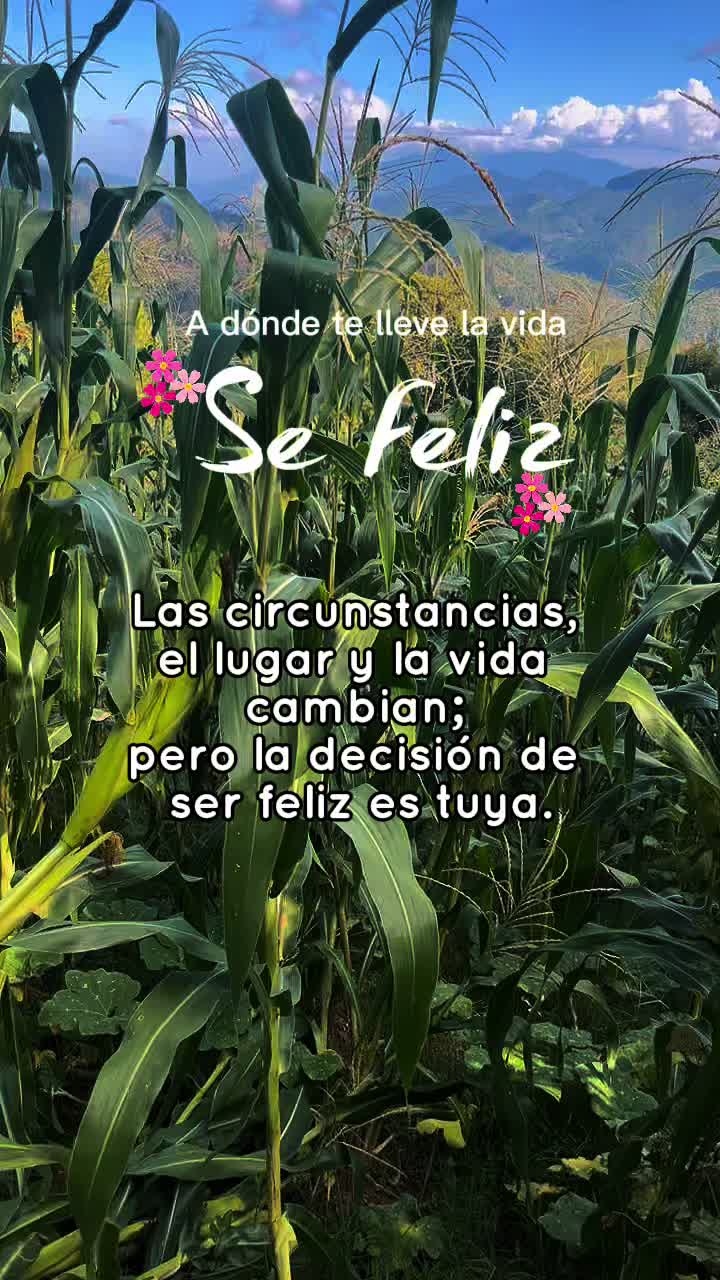 @vanamartinez93🫦