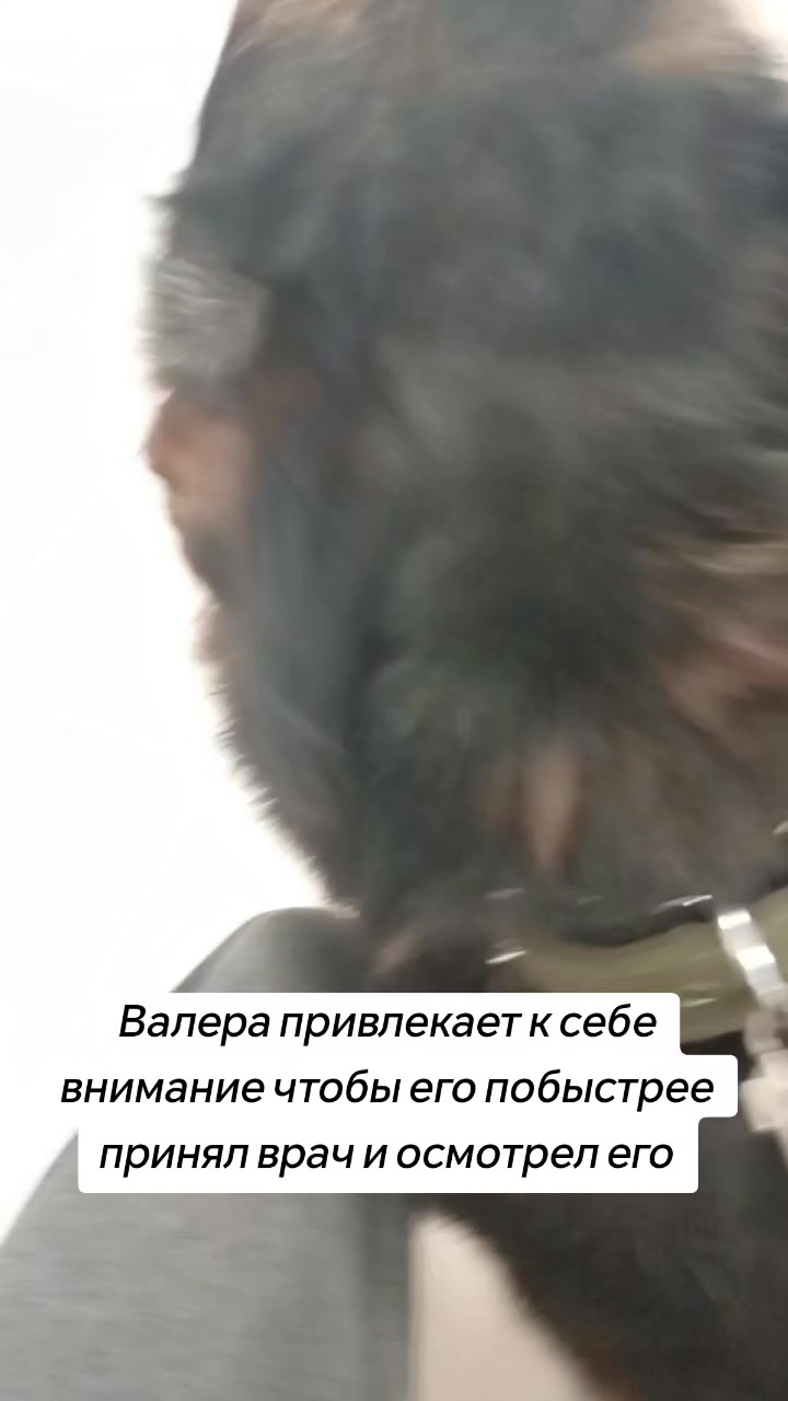 @Передержка «Лёнин рай» 🐶🦮
