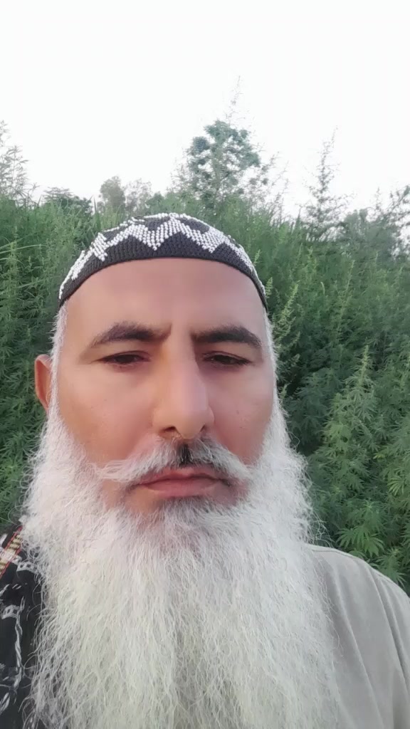 @Muhammad Javed