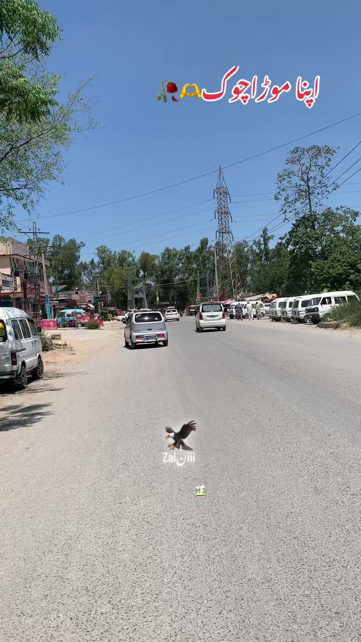 @جانی❣️z